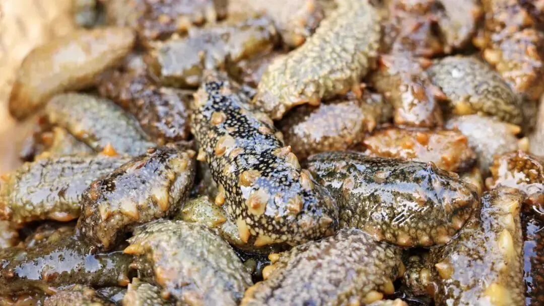 859678f77847c14f727f23f5dd304bc2.jpg 859678f77847c14f727f23f5dd304bc2.jpg